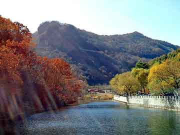 新澳天天彩免费资料大全查询，四川海峡钓鱼网